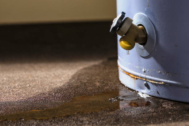 Best Local water damage restoration  in Morningside, MD