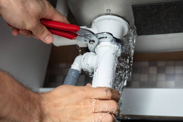 Best Flood damage cleanup  in Morningside, MD