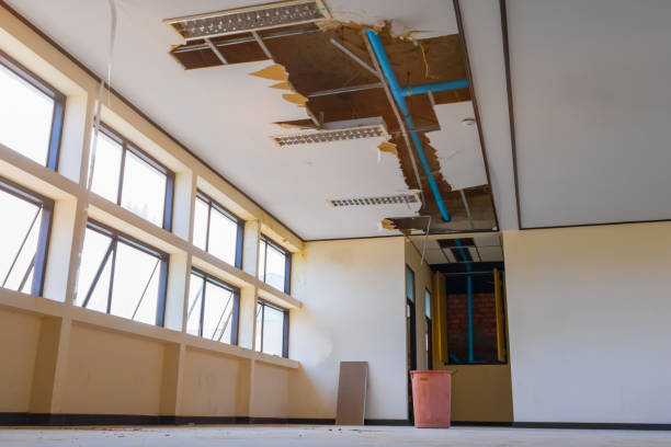 Best Water damage restoration experts  in Morningside, MD
