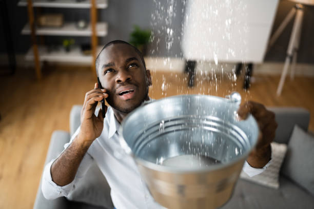 Best 24/7 water damage repair  in Morningside, MD
