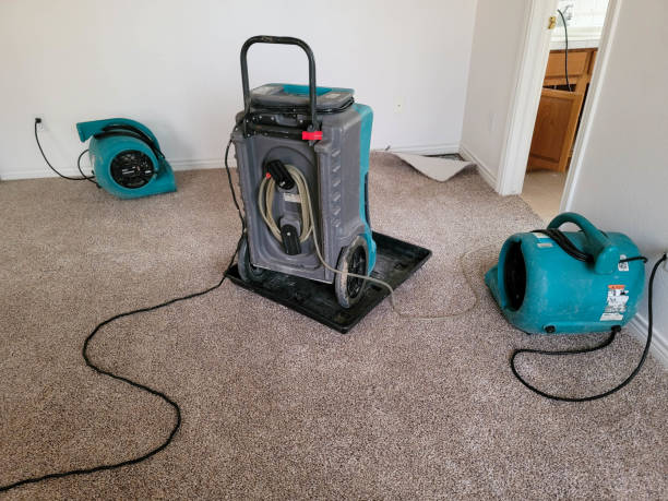 Best Commercial water damage restoration  in Morningside, MD