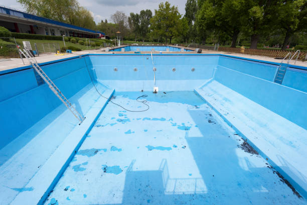 Best Water damage cleanup near me  in Morningside, MD