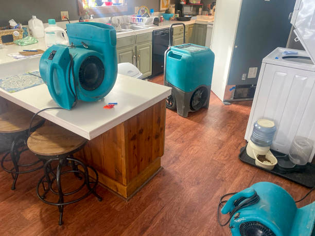 Best Sewage cleanup and water damage restoration  in Morningside, MD