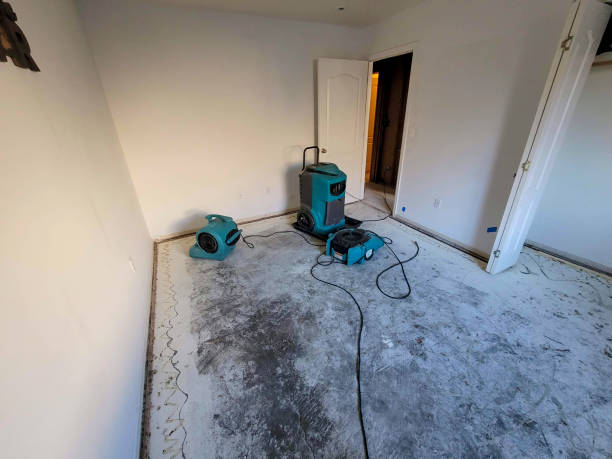 Best Water damage restoration near me  in Morningside, MD
