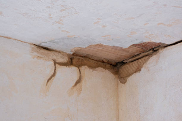 Water damage restoration mold remediation in Morningside, MD