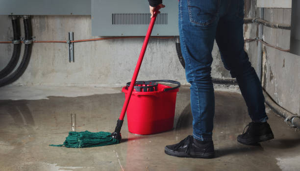 Best Flooded house restoration  in Morningside, MD