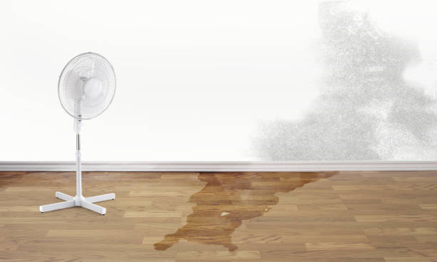 Best 24-hour water damage restoration  in Morningside, MD