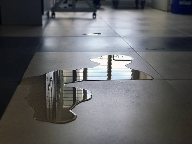 Best Water damage contractors near me  in Morningside, MD