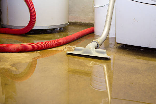 Best Water damage repair service  in Morningside, MD