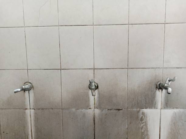 Best Water damage restoration services  in Morningside, MD