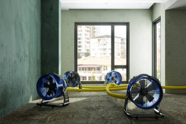 Best Flood restoration services  in Morningside, MD